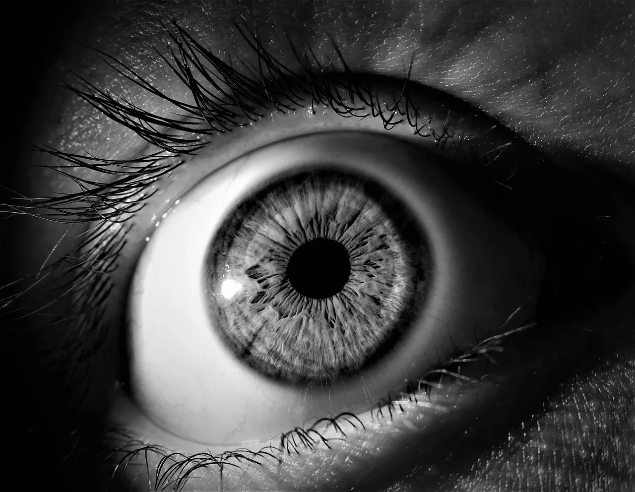 El Apple Vision Pro salva la vista: ¿El quirófano es su nuevo hogar?