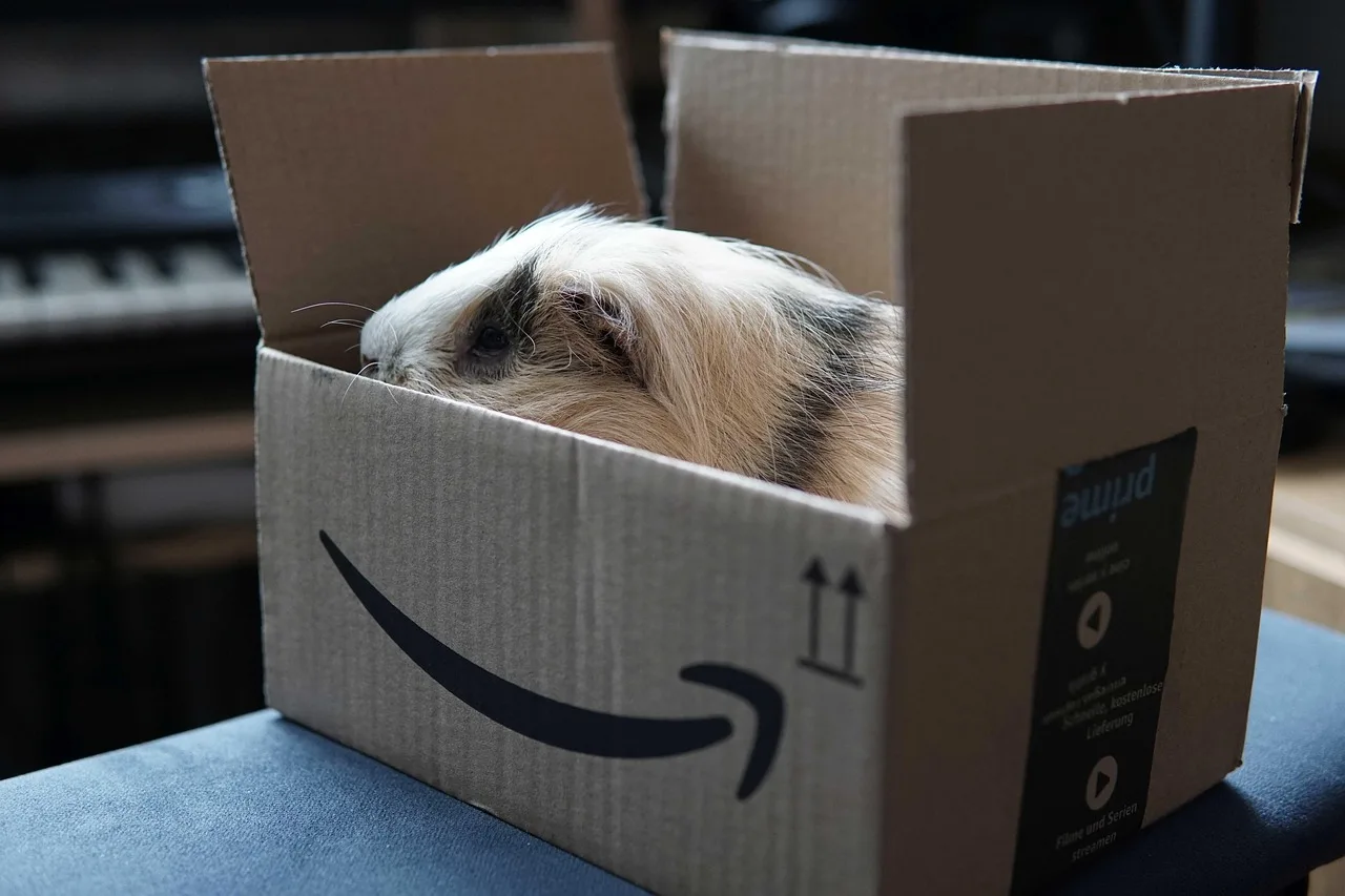 ¡Amazon Prime Day 2026 está aquí antes de lo esperado! Todo lo que necesitas saber