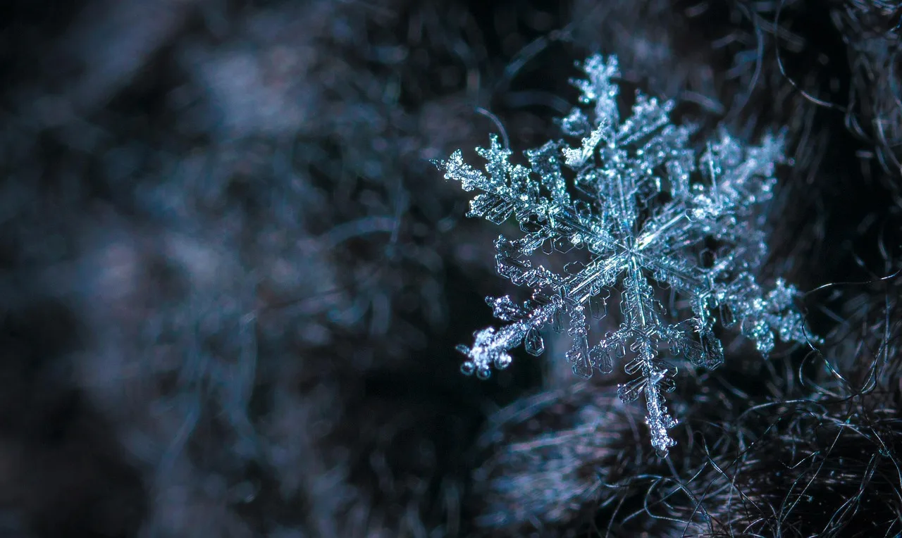 Hacker canadiense se declara culpable por el colosal asalto a Snowflake